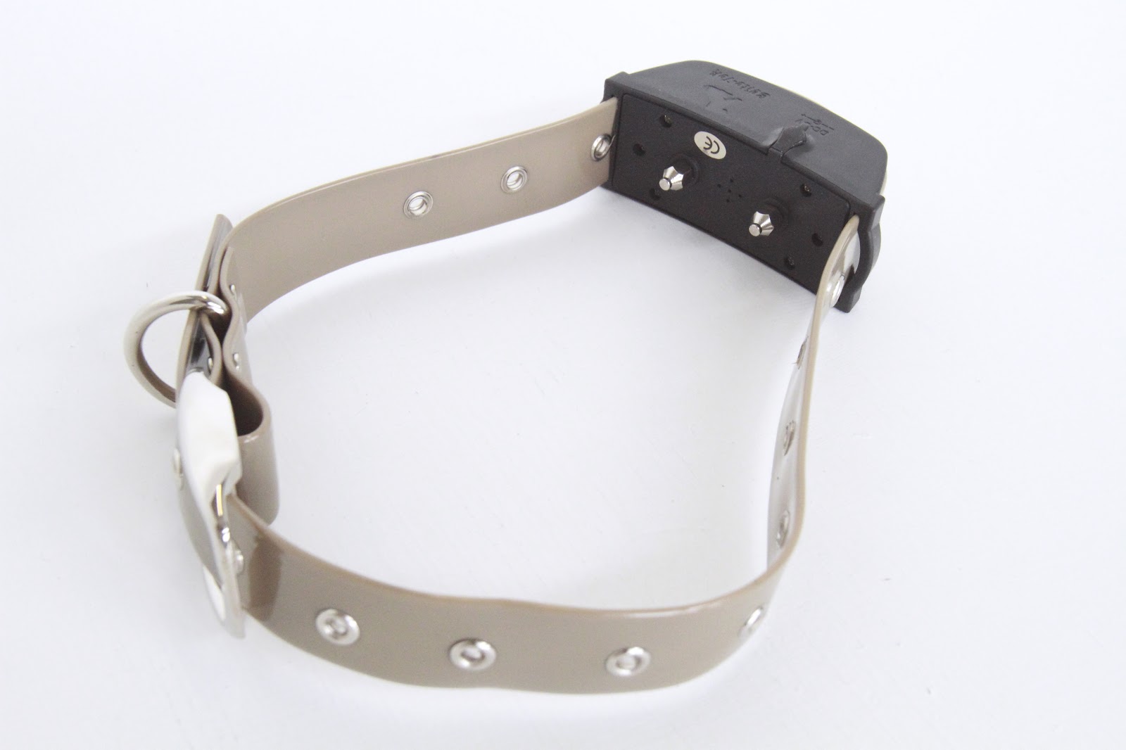 RSPCA government consultation to ban shock collars