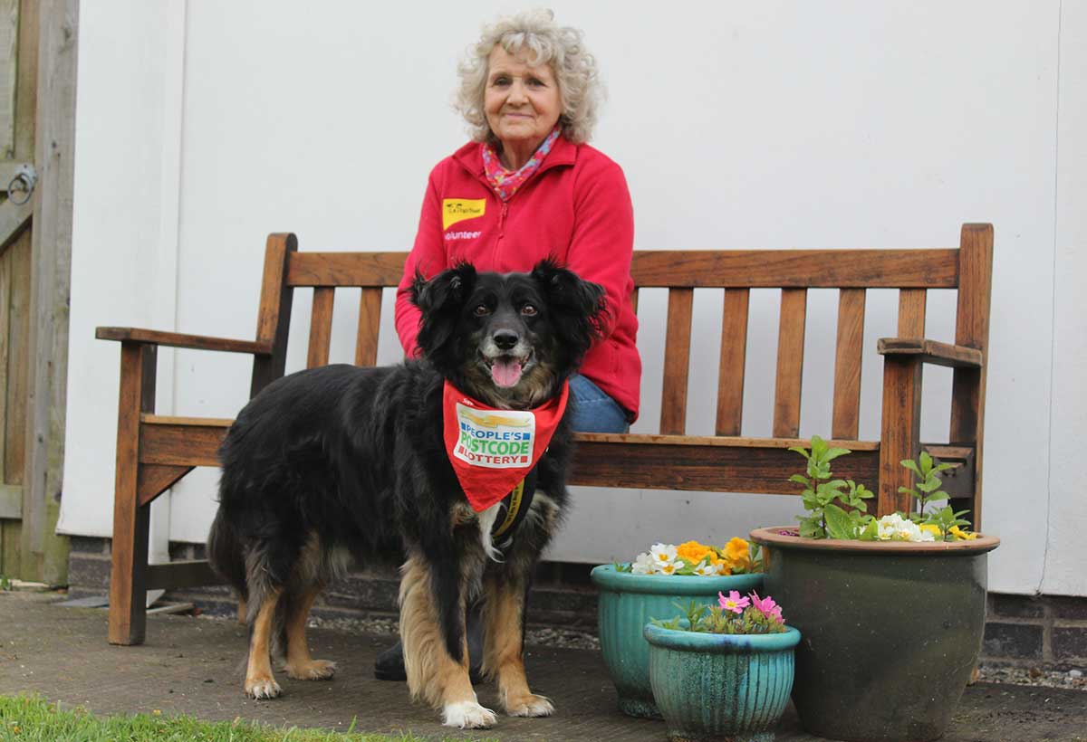 Dogs Trust Shrewsbury reaches rehoming milestone Companion Life