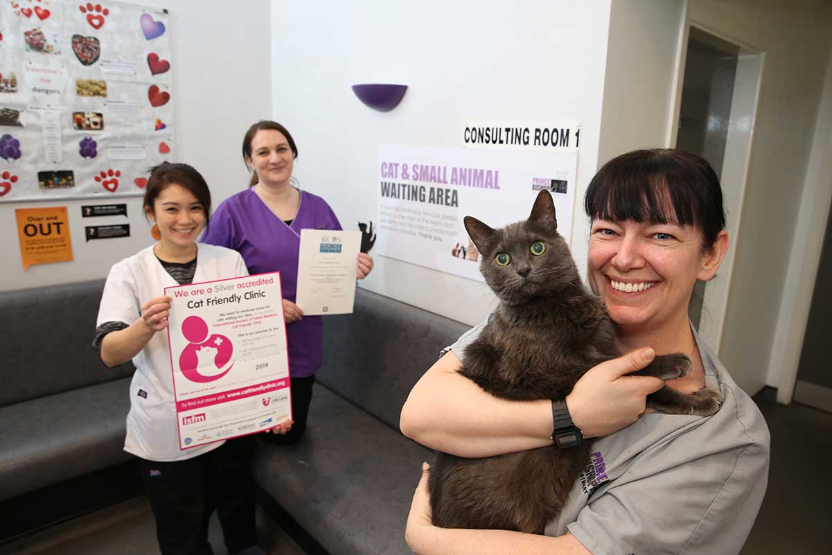 Award leaves County Durham vet practice feeling like the cat's whiskers