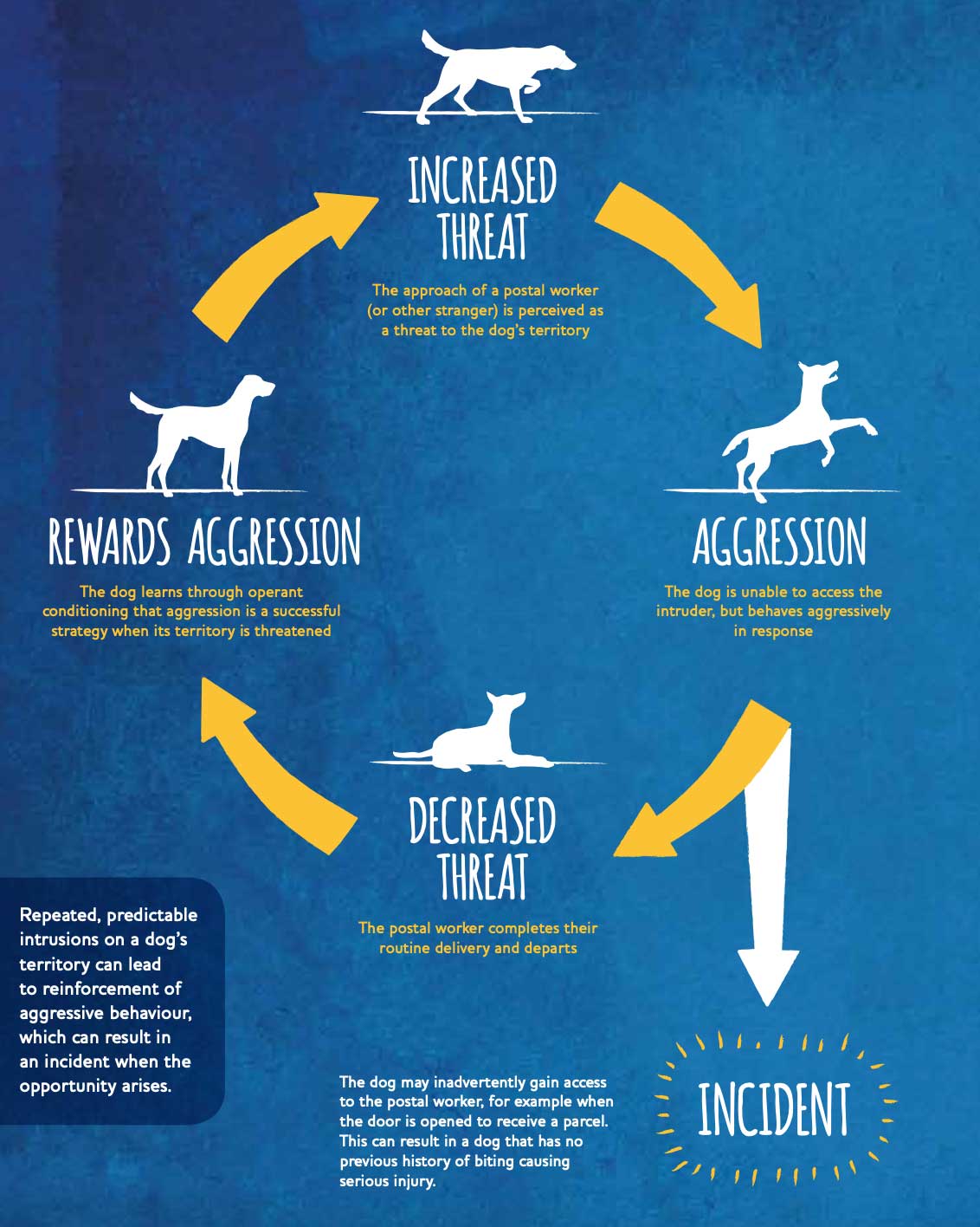 How to reduce dog aggression and attacks Companion Life