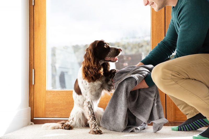 The Kennel Club new tennancy agreement ending 'unfair' blanket