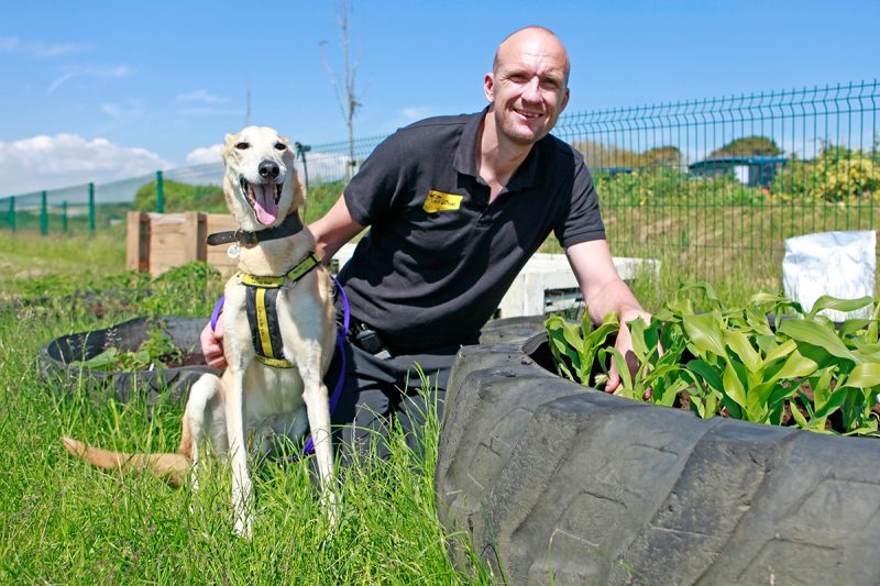 Wellness garden created at Dogs Trust Shoreham Rehoming Centre