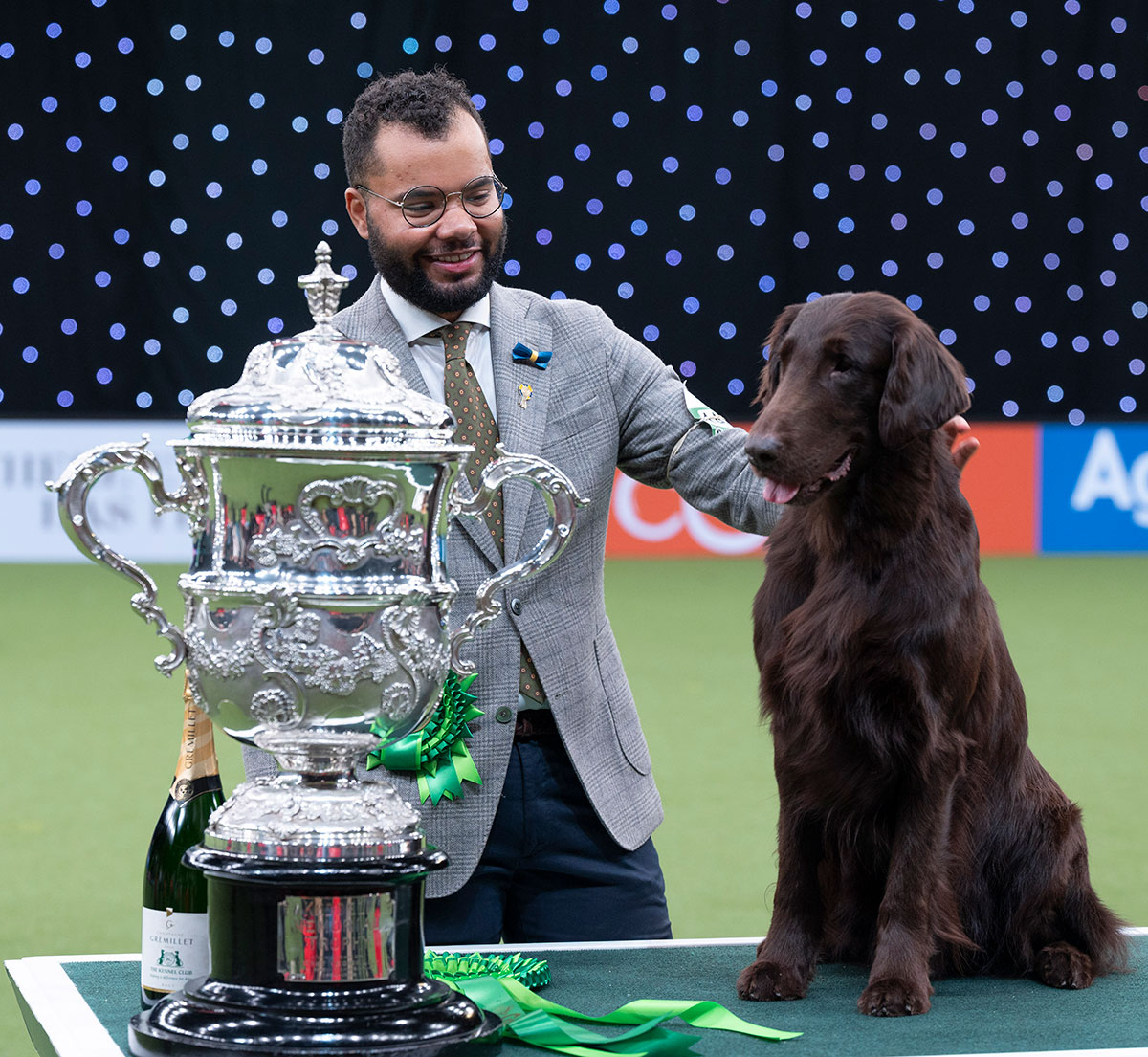 Crufts 2022 Best in Show champion Baxter the flat coat retriever from