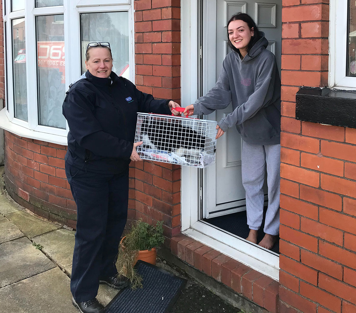 Cat stuck in tree for 4 days is reunited with owners after poster alert