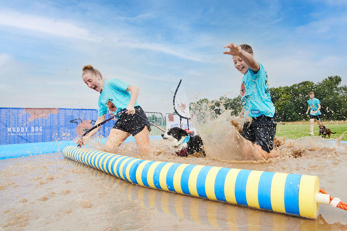 Dogs, mud, ball pits, and more are you ready for Muddy Dog Challenge? Companion Life