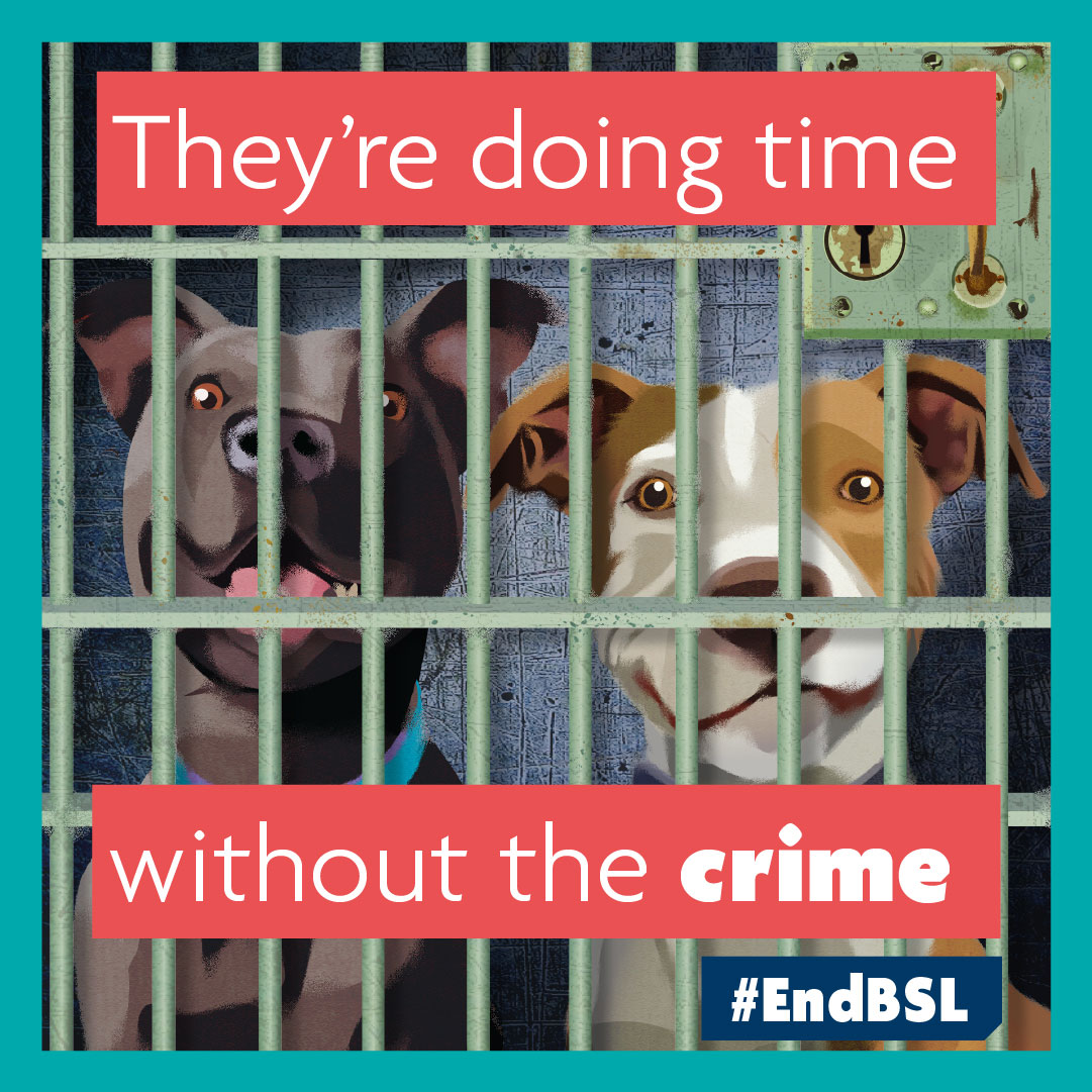 RSPCA calls for change of approach to dog control after tragic fatal