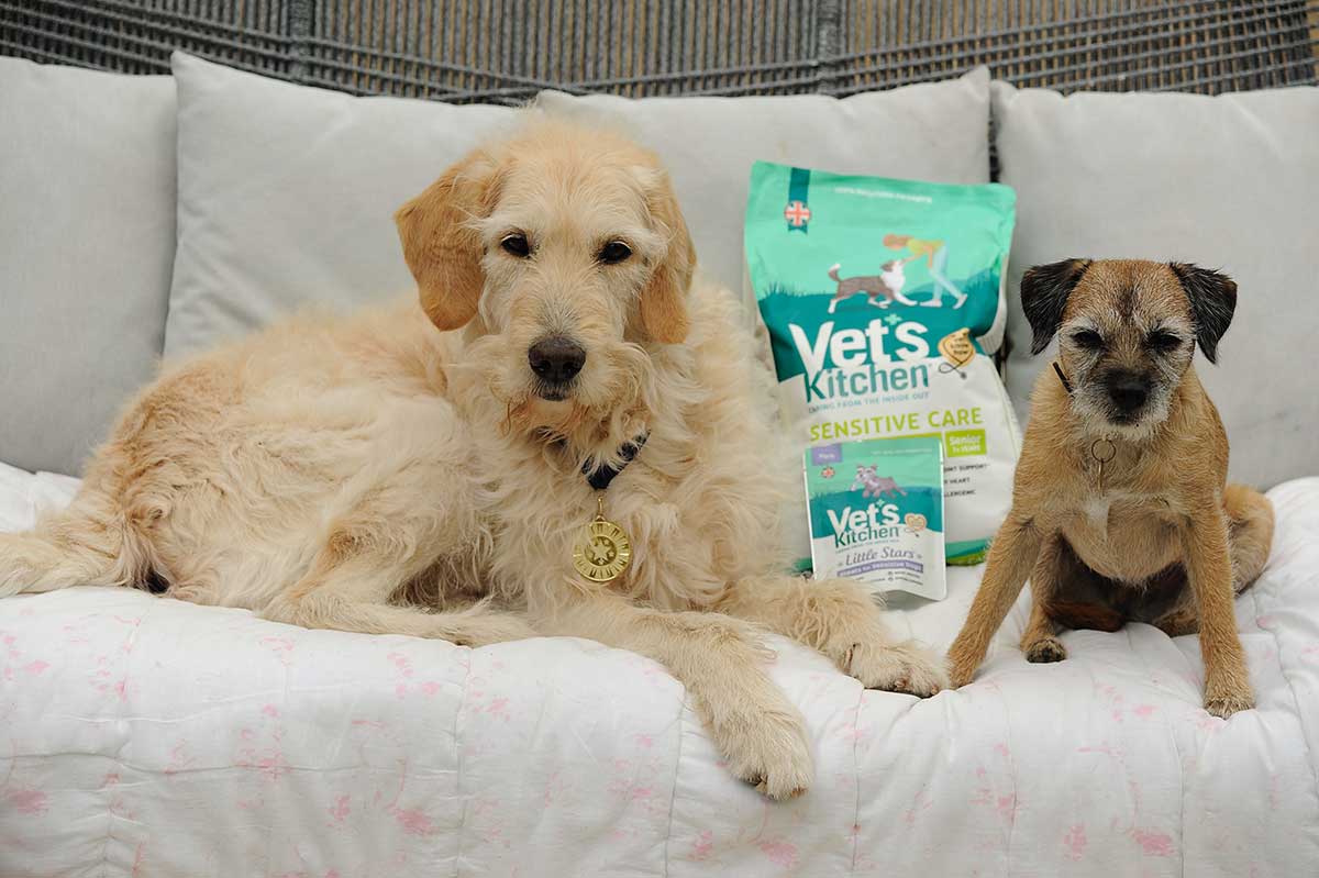 Vet’s Kitchen launch Senior Dog Club Companion Life