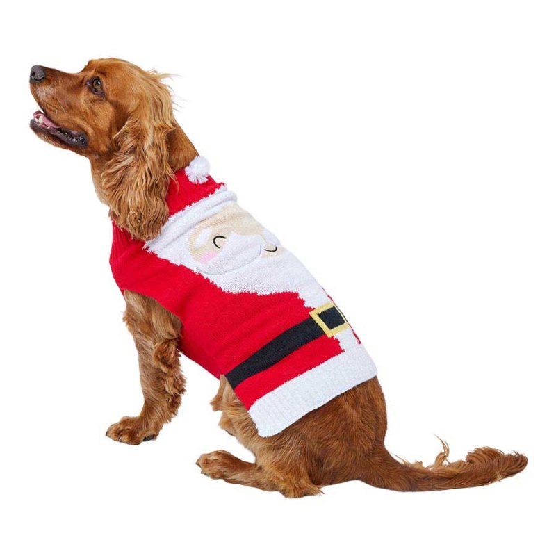 8 of the best Christmas jumpers for dogs Companion Life