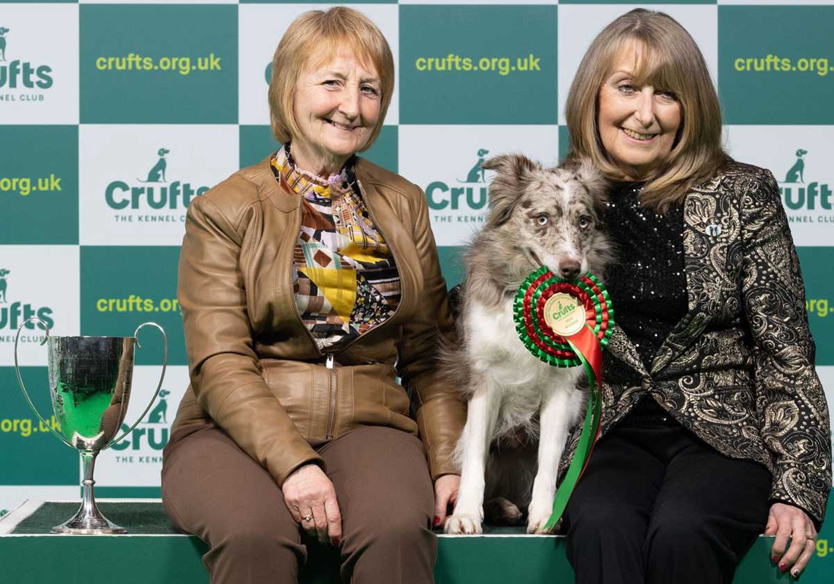 Border Collie from Wirral crowned Crufts Obedience Champion Companion