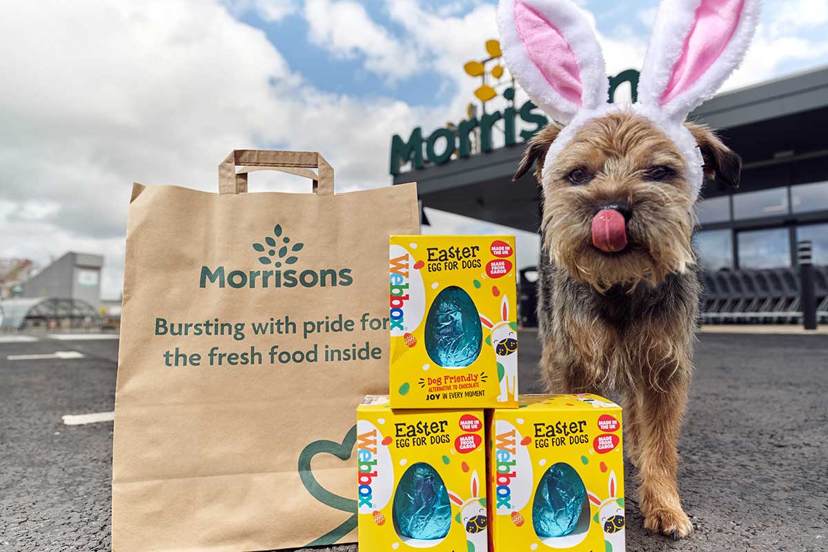 Morrisons launches pet Easter eggs for £3 Companion Life