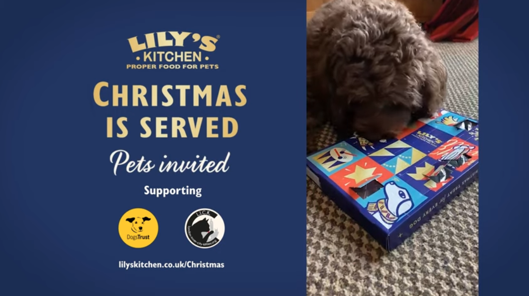 Lily’s Kitchen unveils Christmas advert in tribute to the everyday joy