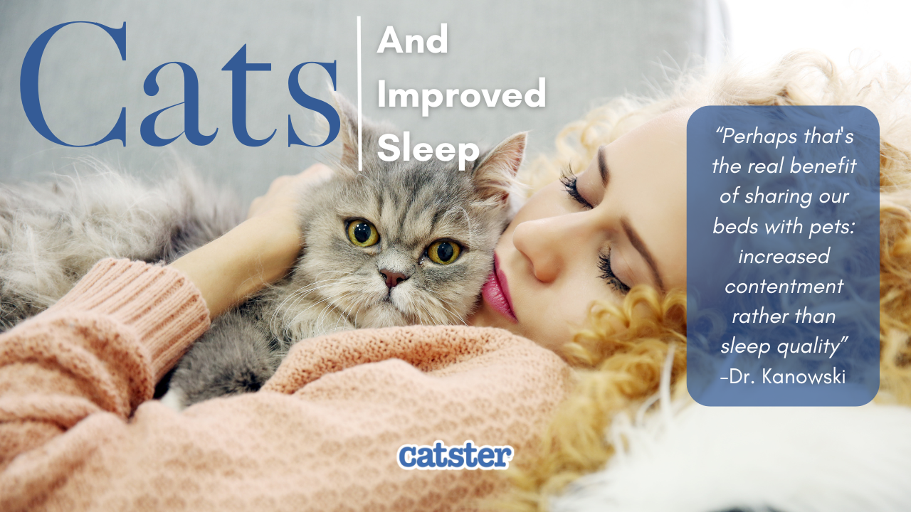 Can sleeping with your cat benefit your sleep quality? Companion Life