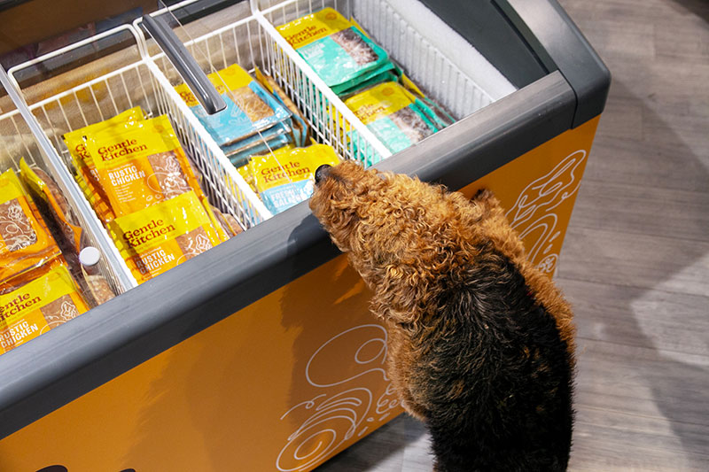 Pets Corner launches Gentle Kitchen: category-leading fresh frozen dog food cooked at lower temperatures